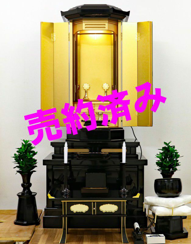 000000000692-01.jpg?size=m&w=